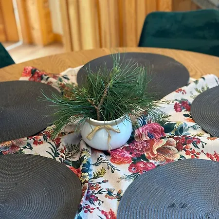 Borysek De Lux בית אירוח ביאלקה טטרנסקה