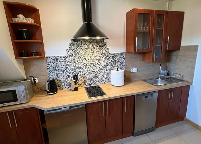 Borysek De Lux Quarto em Acomodações Particulares *